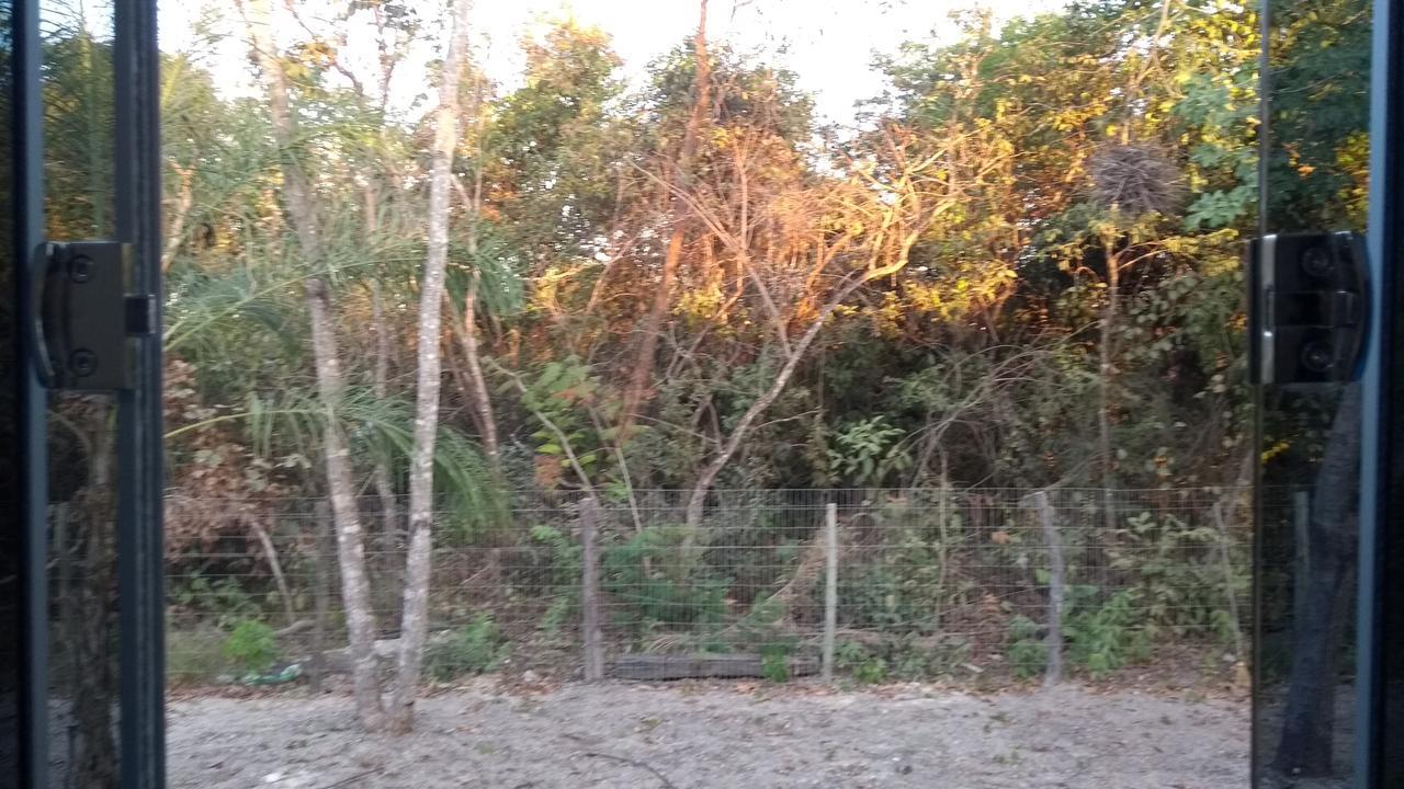 קויאבה Chacara Pousada Sagui מראה חיצוני תמונה